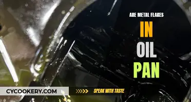 Metal Flakes in Oil Pan: What Do They Mean?