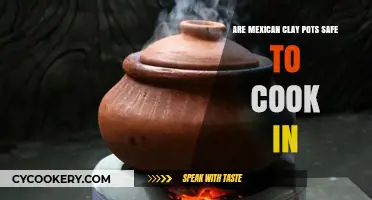 Clay Pots: Safe Cooking Option?