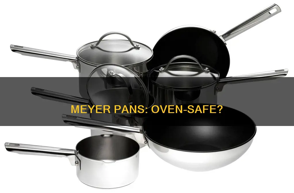 are meyer pans oven safe