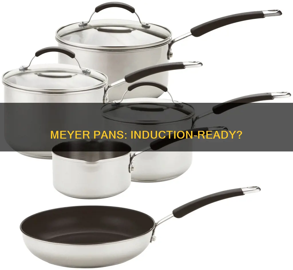 are meyer stainless steel pans suitable for induction hobs