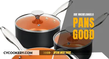 Michelangelo Pans: Worth the Hype?