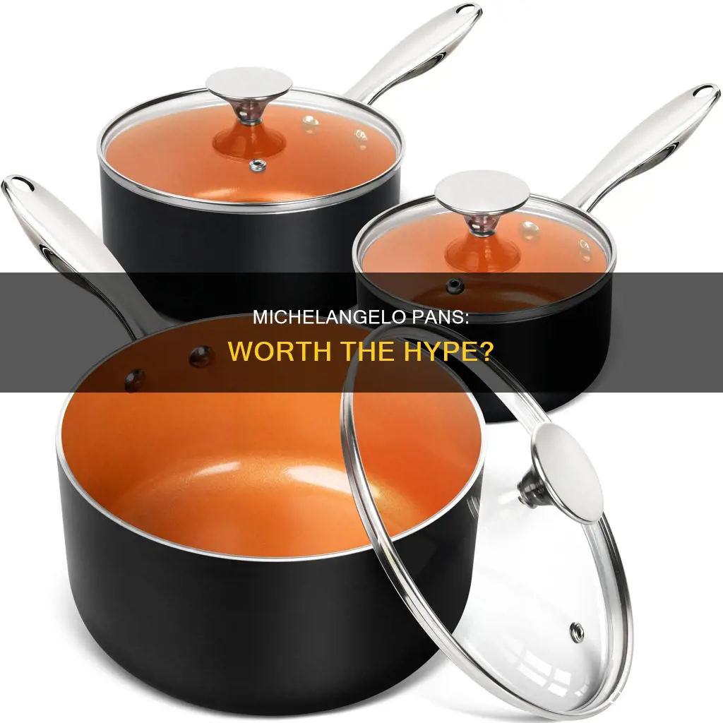 are michelangelo pans good