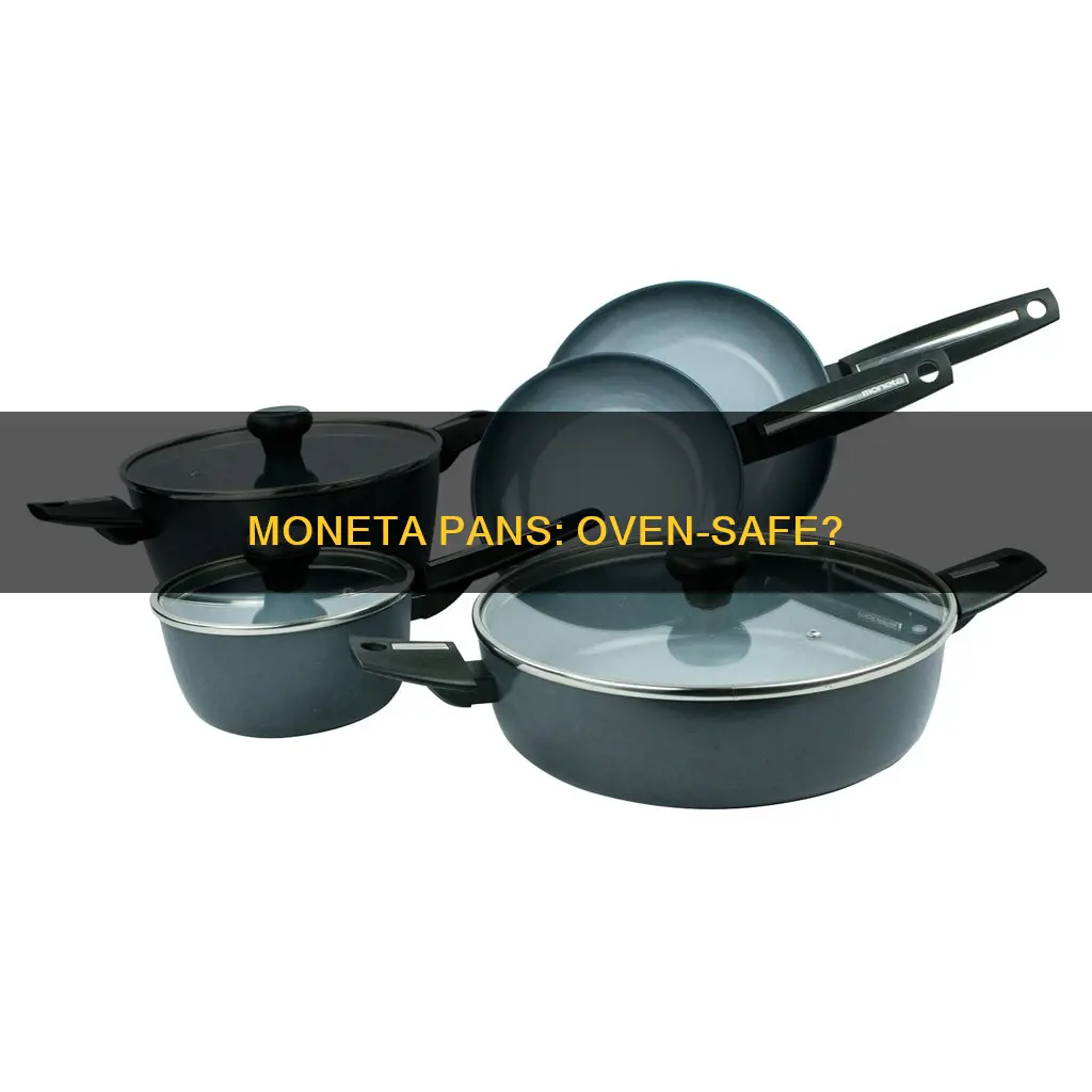 are moneta pans oven safe