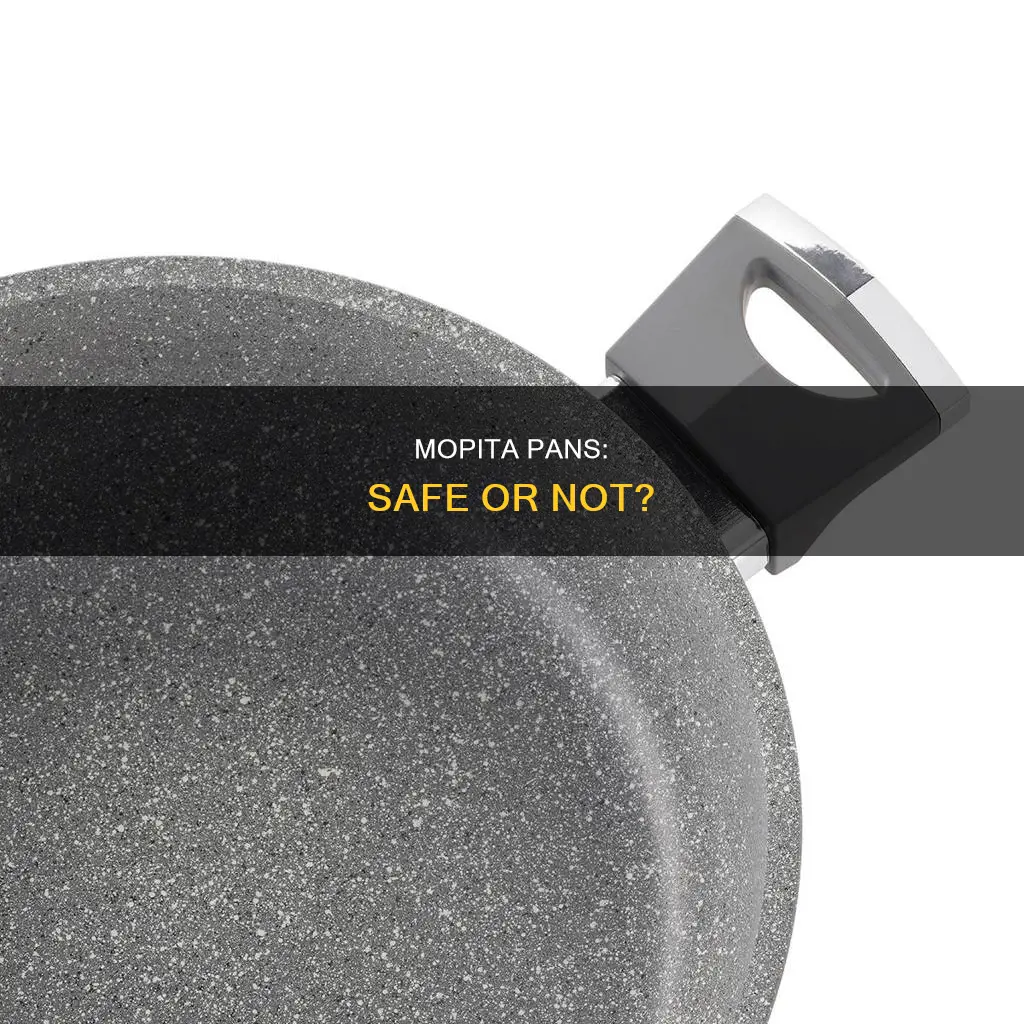 are mopita pans safe