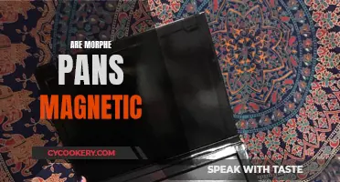 Morphe Pans: Magnetic or Not?