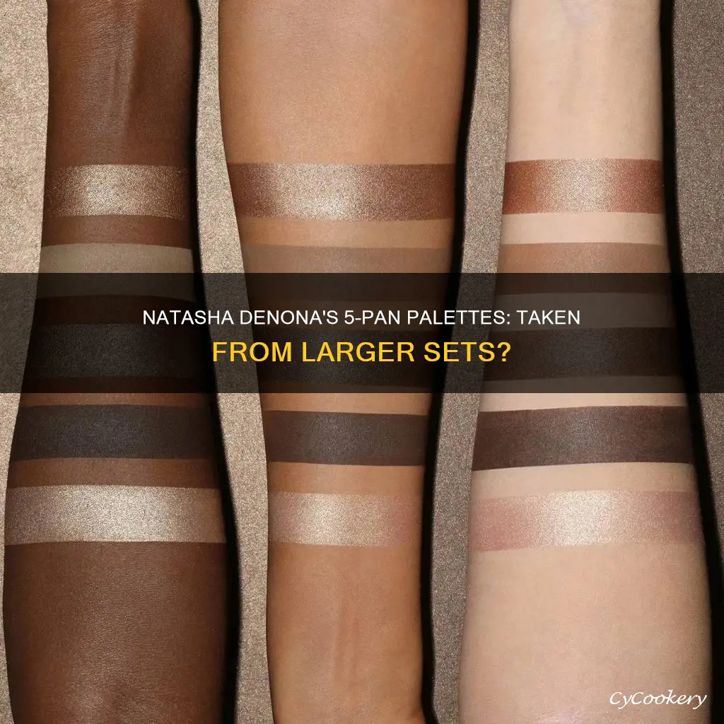 are natasha denona 5 pan taken from the large palettes