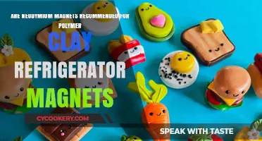 Neodymium Magnets in Polymer Clay: Ideal for Fridge Crafts?