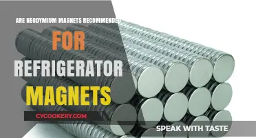 Neodymium Magnets for Fridges: Are They a Practical Choice?