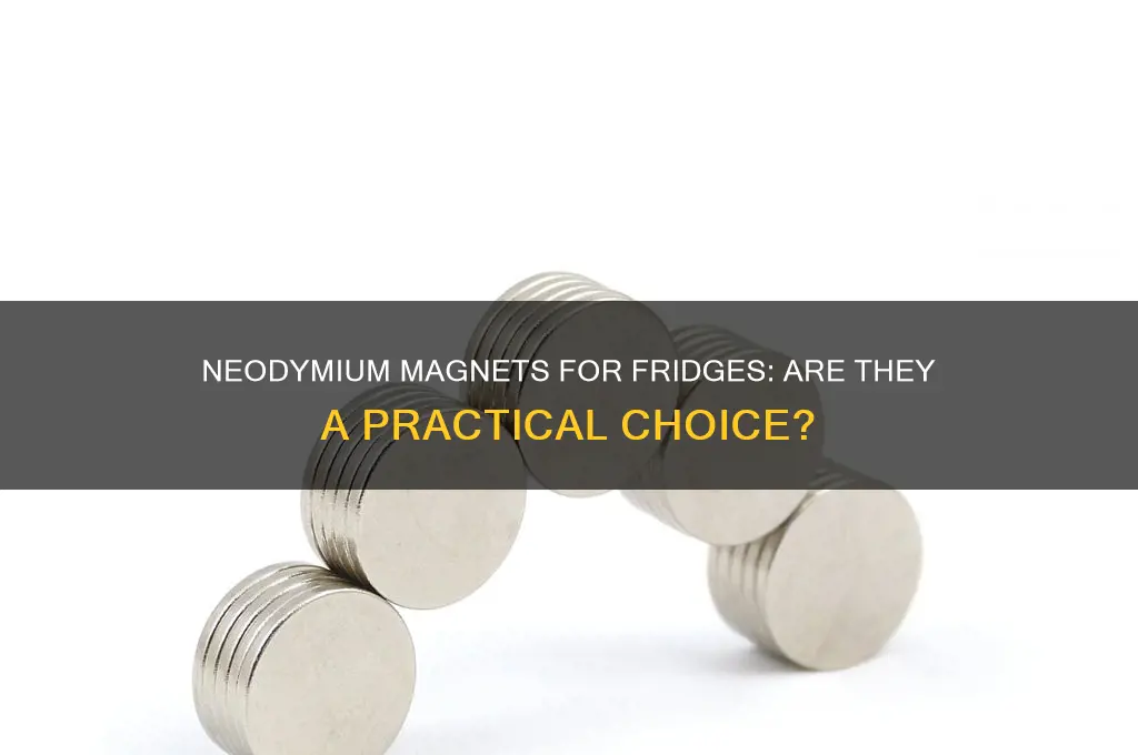 are neodymium magnets recommended for refrigerator magnets