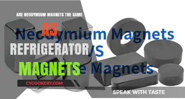 Neodymium vs. Fridge Magnets: Unraveling the Magnetic Differences