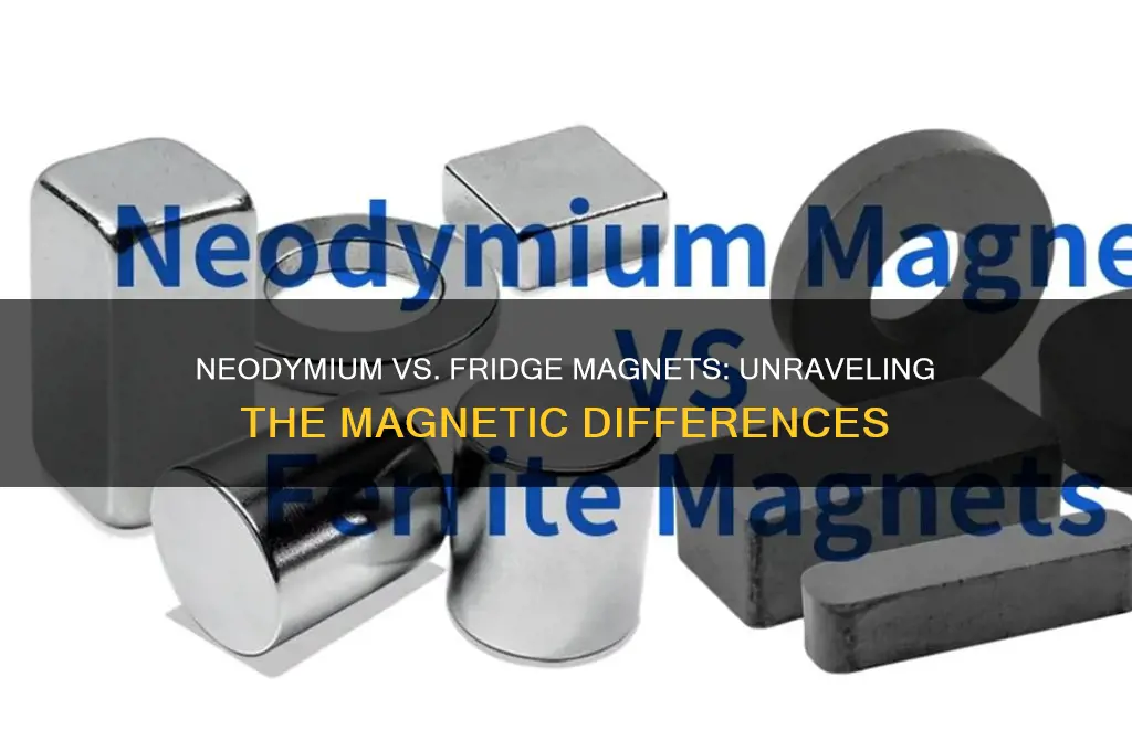 are neodymium magnets the same as refrigerator magnets