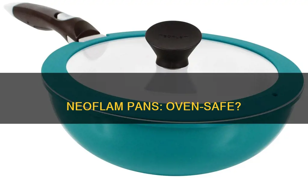 are neoflam pans oven safe