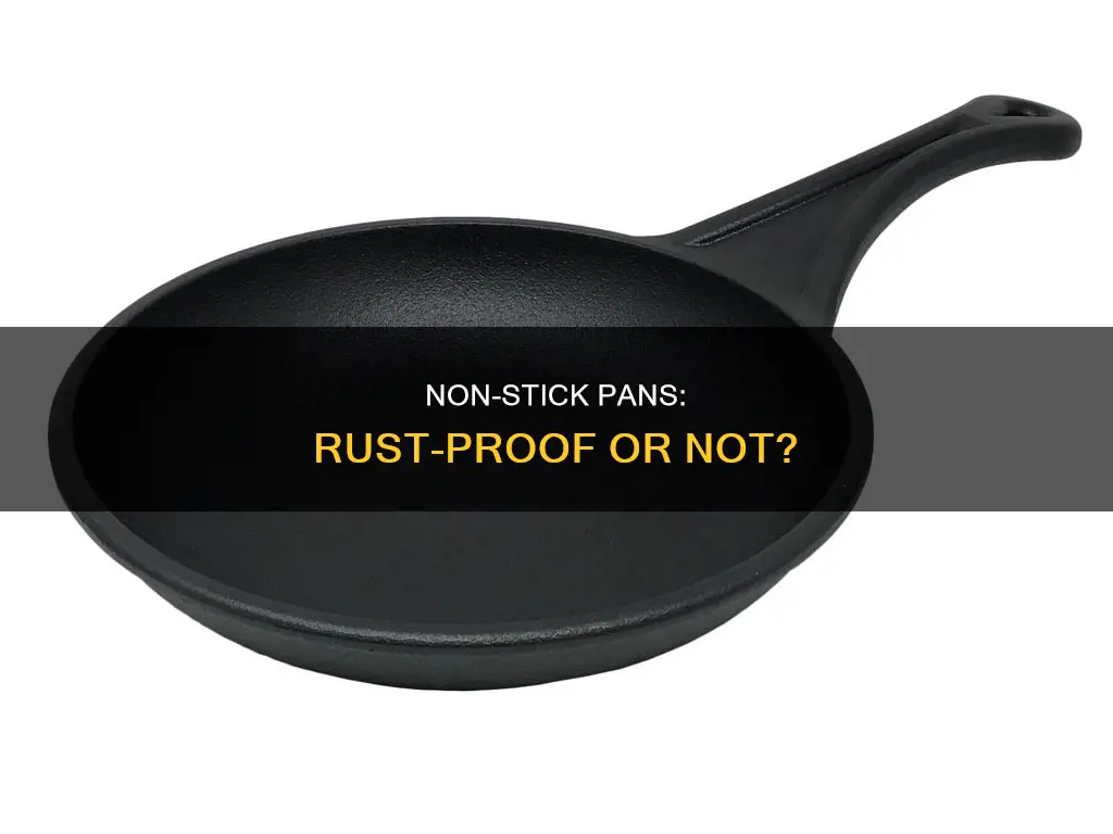 are non stick pans rust proof