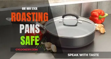 Non-Stick Roasting Pans: Safe or Not?