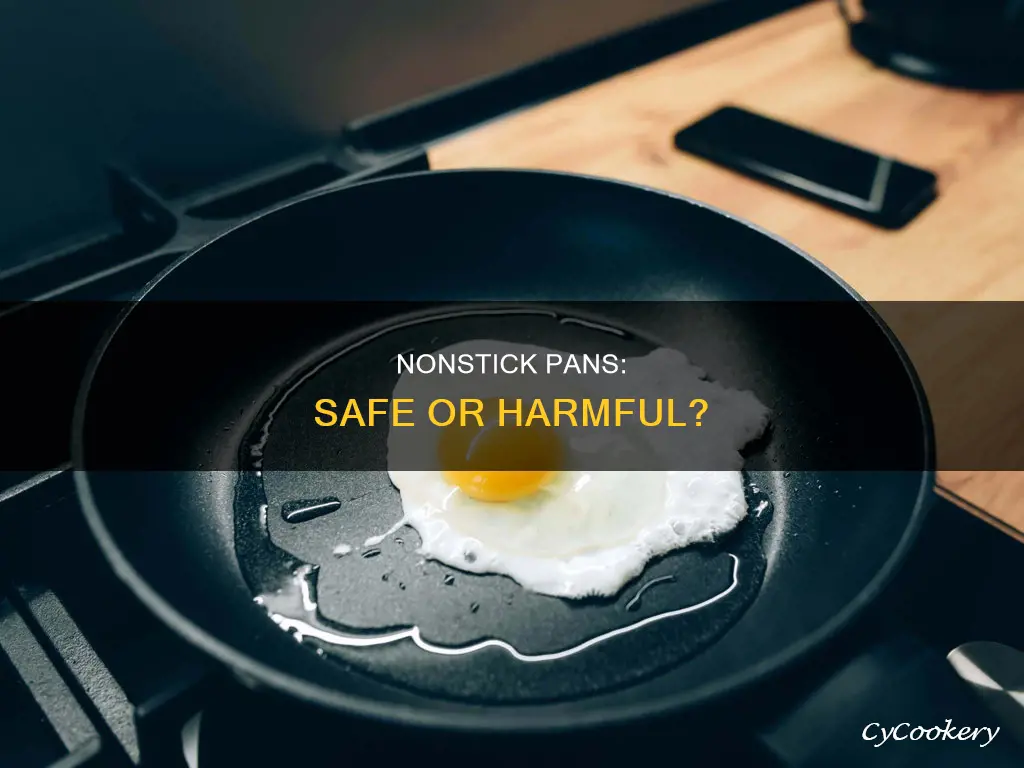 are nonstick pans bad