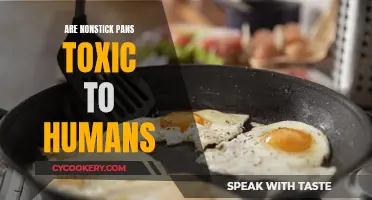 Nonstick Pans: Are They Safe or Toxic for Humans?