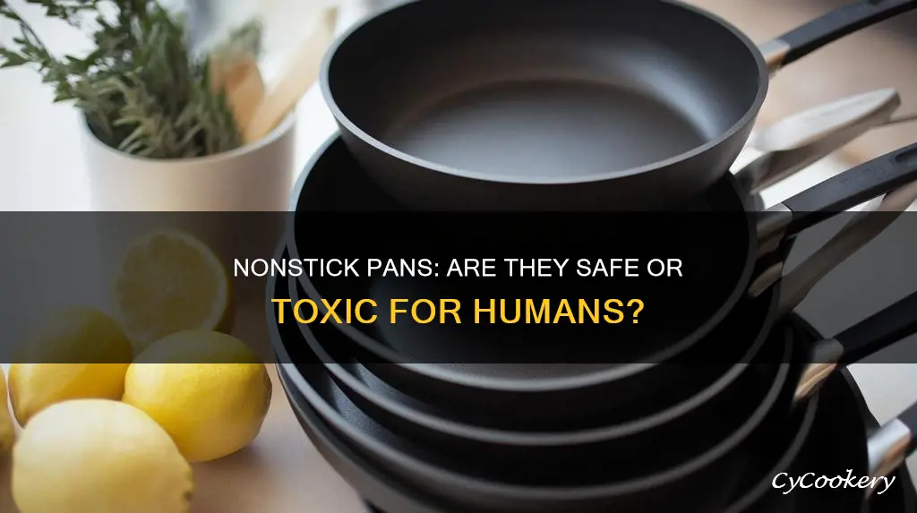are nonstick pans toxic to humans
