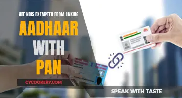 Aadhaar-PAN Linking: Exemption for NRIs?