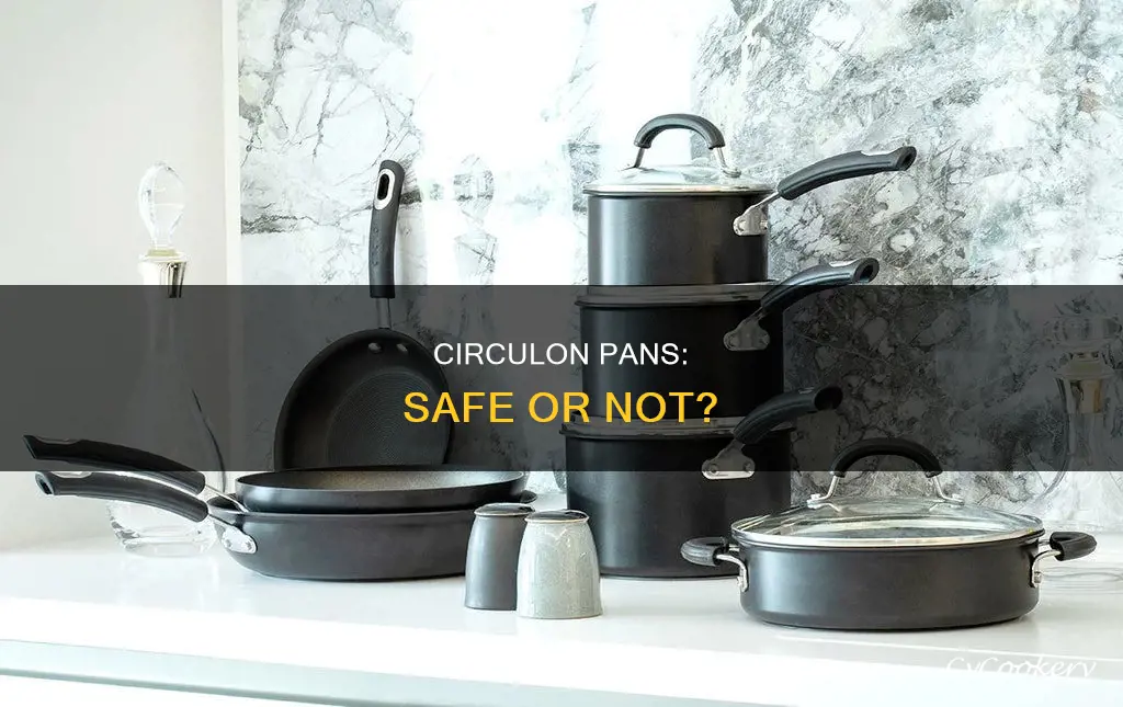 are old circulon pans safe