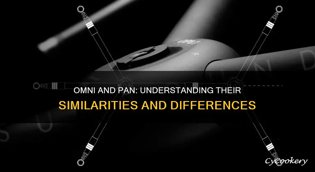 are omni and pan the same thing