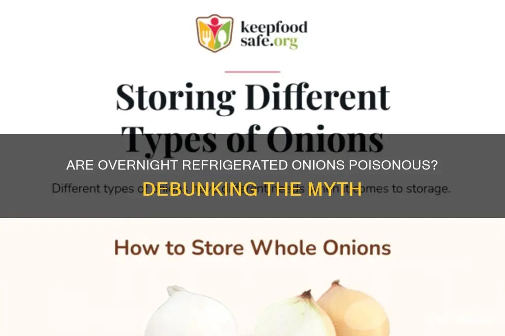 are onions posion if left in refrigerator overnight