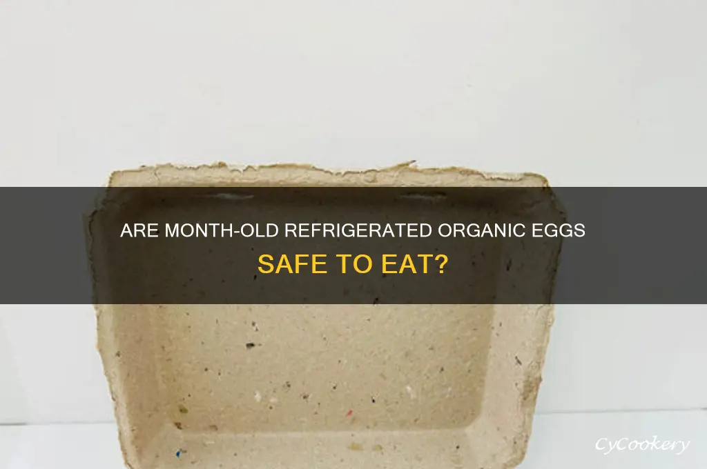 are organic eggs safe to eat refrigerated one month