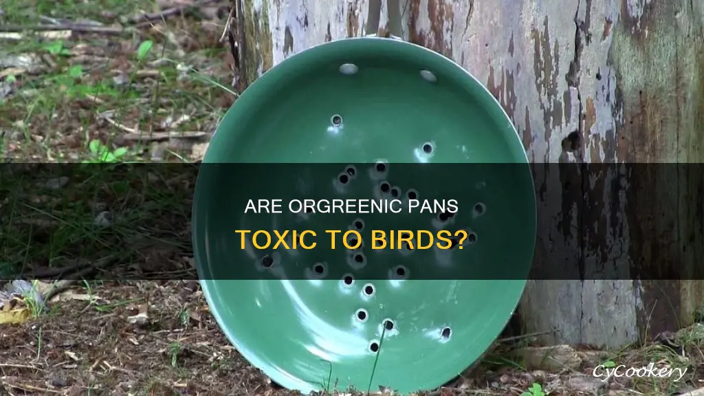 are orgreenic pans safe for birds