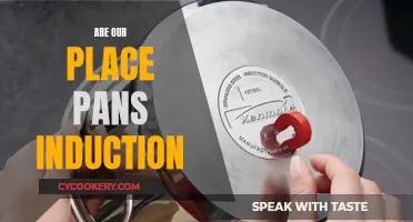 Induction Cooking and Place Pans: What You Need to Know