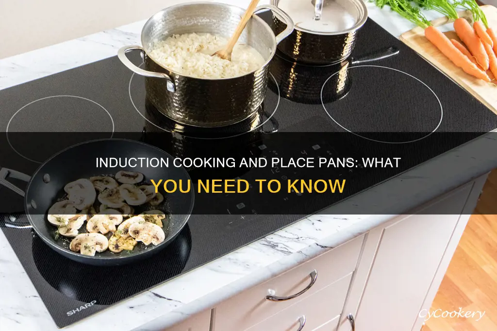 are our place pans induction