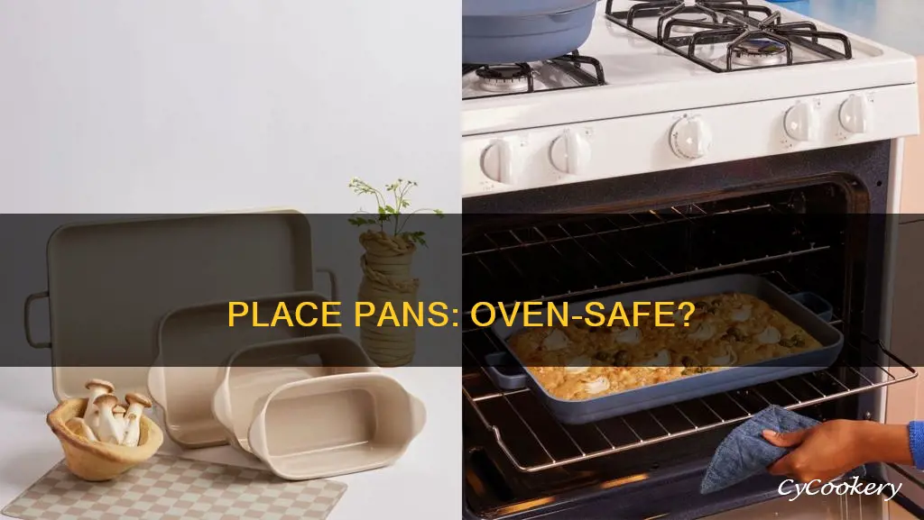 are our place pans oven safe