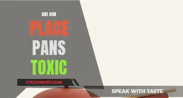 Place Pan Safety: Are They Toxic?