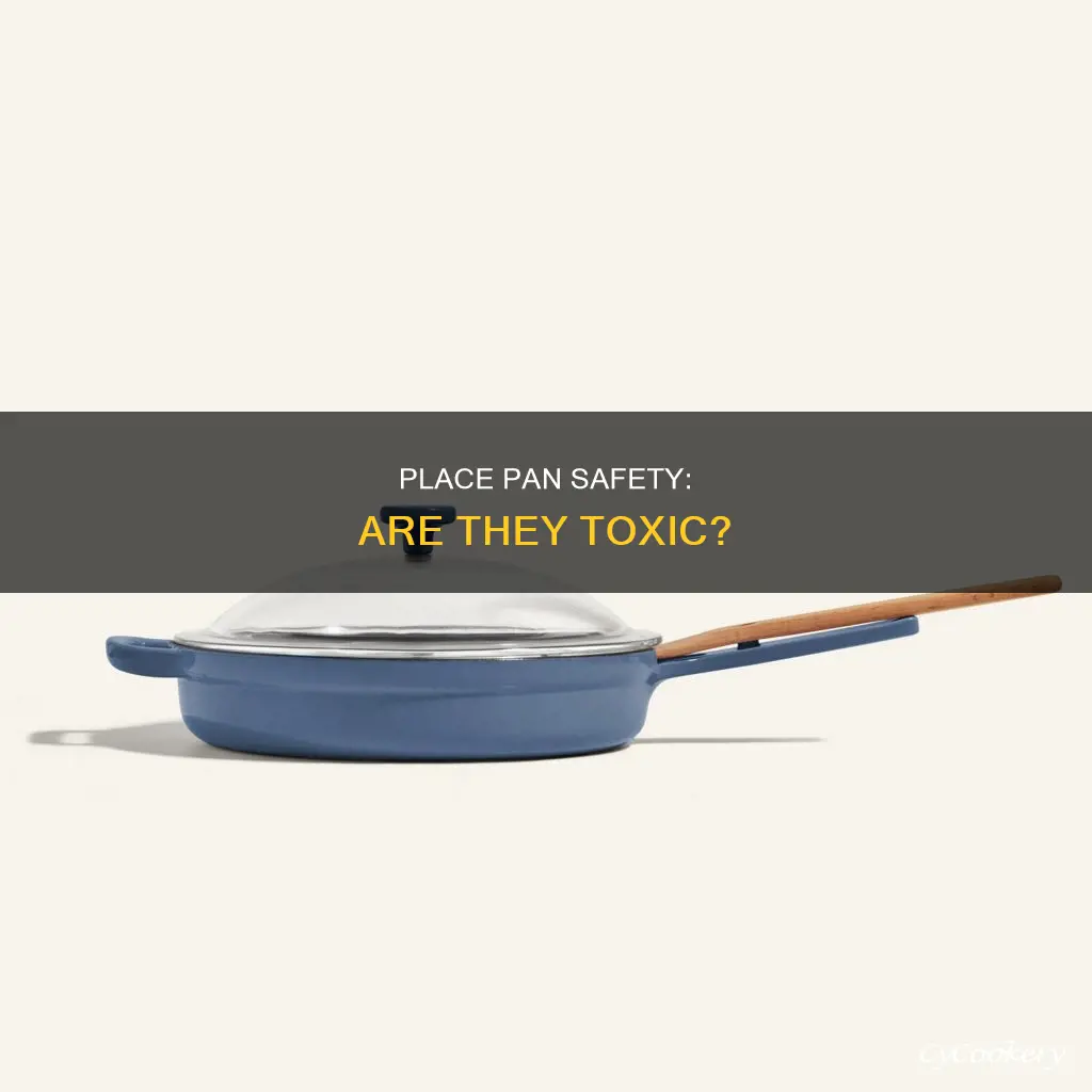 are our place pans toxic