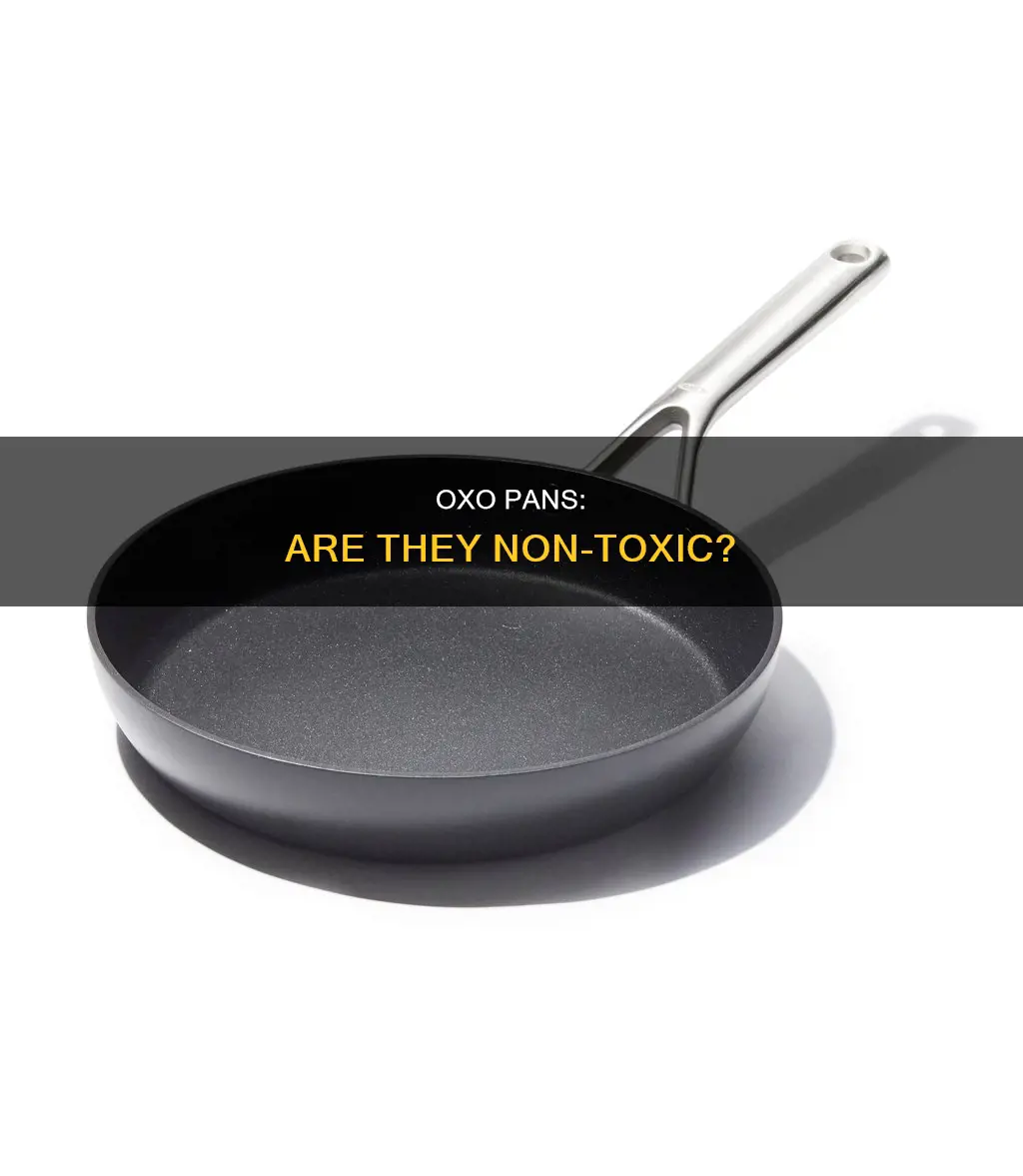 are oxo pans non toxic