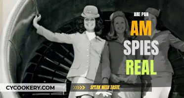 Pan Am's Real-Life Spy Games: Fact or Fiction?