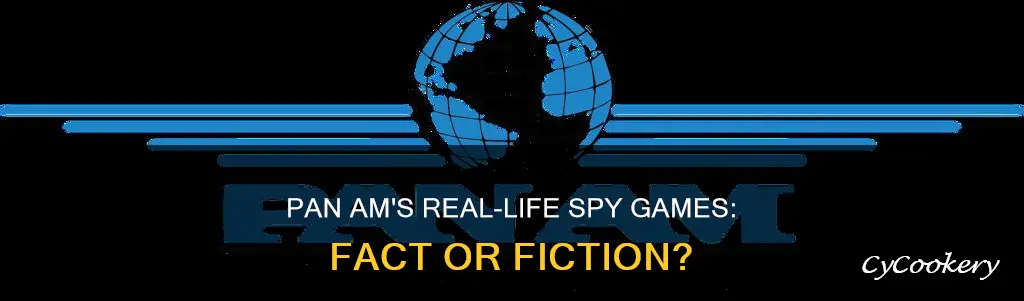 are pan am spies real