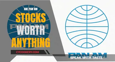 Pan Am Stocks: Any Value Left?