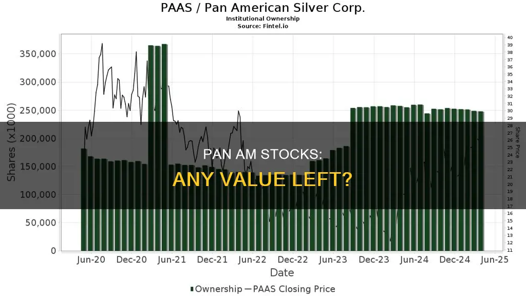 are pan am stocks worth anything