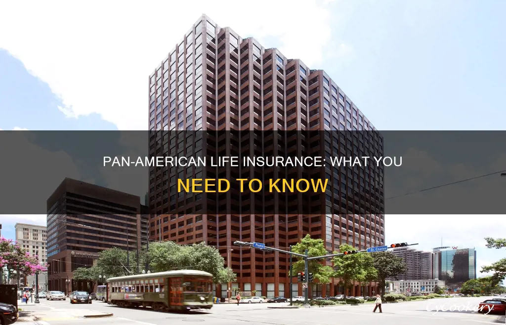 are pan american life insurance policy
