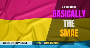 What's the Difference Between Pan and Bi?