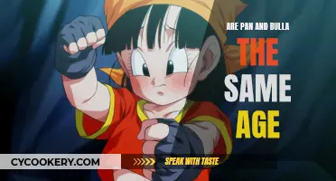Pan and Bulla: Age and Similarities Explored