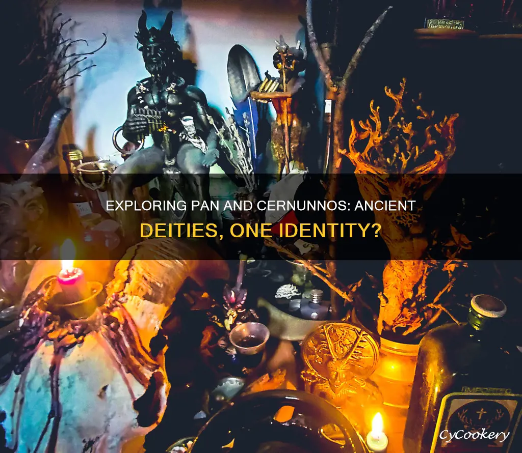 are pan and cernunnos the same