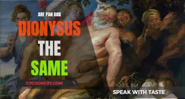 Exploring the Similarities Between Pan and Dionysus