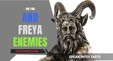 An Inevitable Conflict: Pan and Freya's Enmity Explored