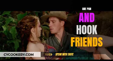 Pan and Hook: Friends or Foes?
