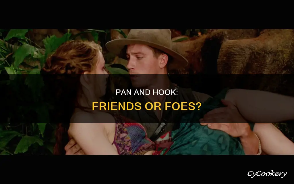 are pan and hook friends