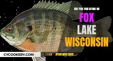 Best Panfish Spots in Fox Lake, Wisconsin