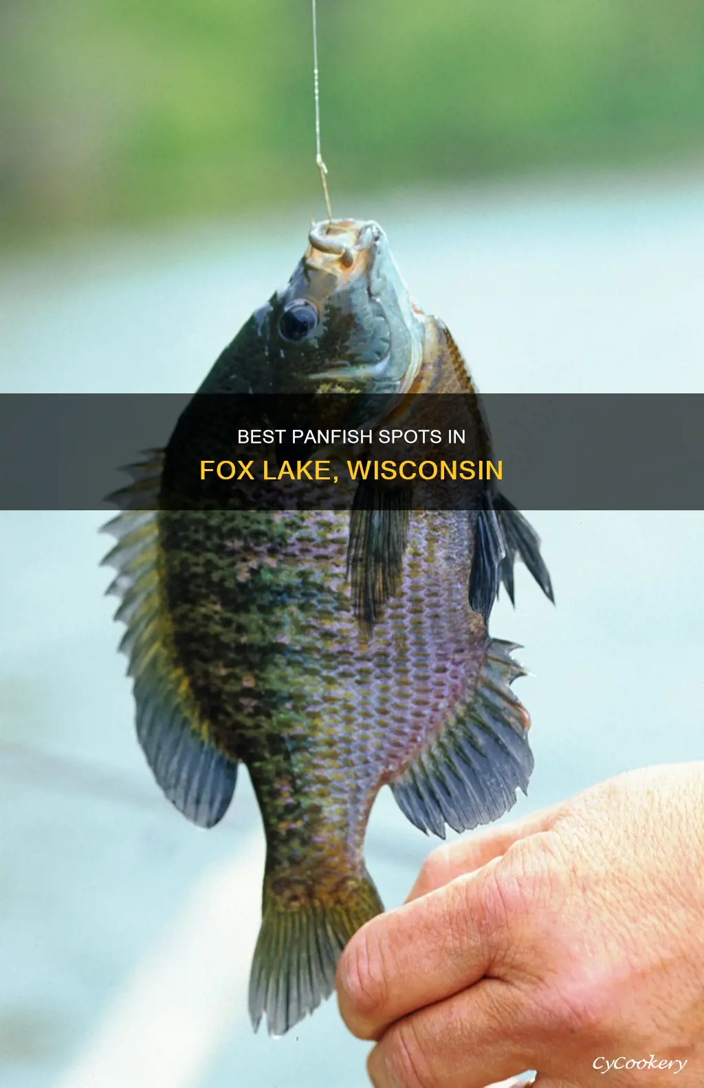 are pan fish biting on fox lake wisconsin