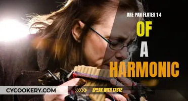 Exploring the Harmonic Qualities of Pan Flutes