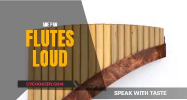 The Volume of Pan Flutes: How Loud Do They Get?