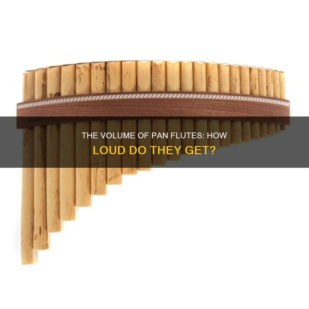 are pan flutes loud